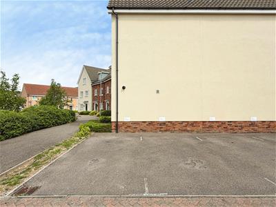 Picture 17